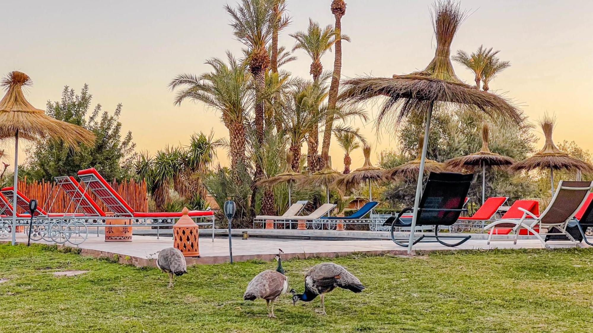 Le Bled De Gre Hotel El Makina Luaran gambar